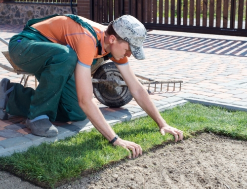 Unleashing the Potential of Your Outdoor Space: The Benefits of Hiring a Landscape Professional